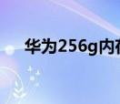 华为256g内存5G手机价格（华为251）