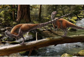 怀特岛化石显示欧洲有与亚洲和美洲不同的食草恐龙